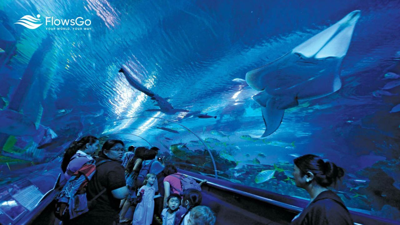 Aquaria KLCC.jpg