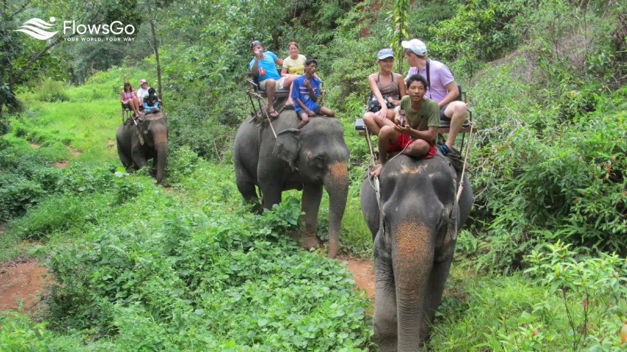 Chang Siam Krating Lai Pattaya (2).jpg