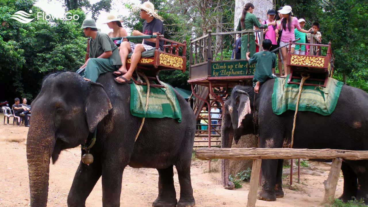 Chang Siam Krating Lai Pattaya (4).jpg