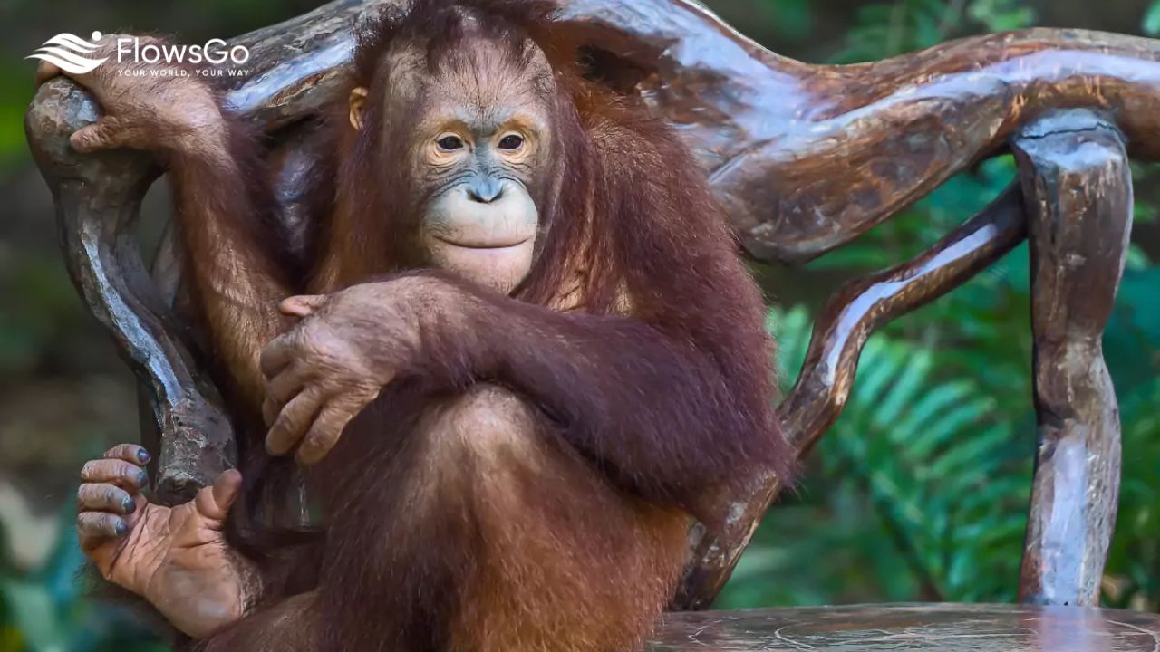 Chang Siam Krating Lai Pattaya (5).jpg