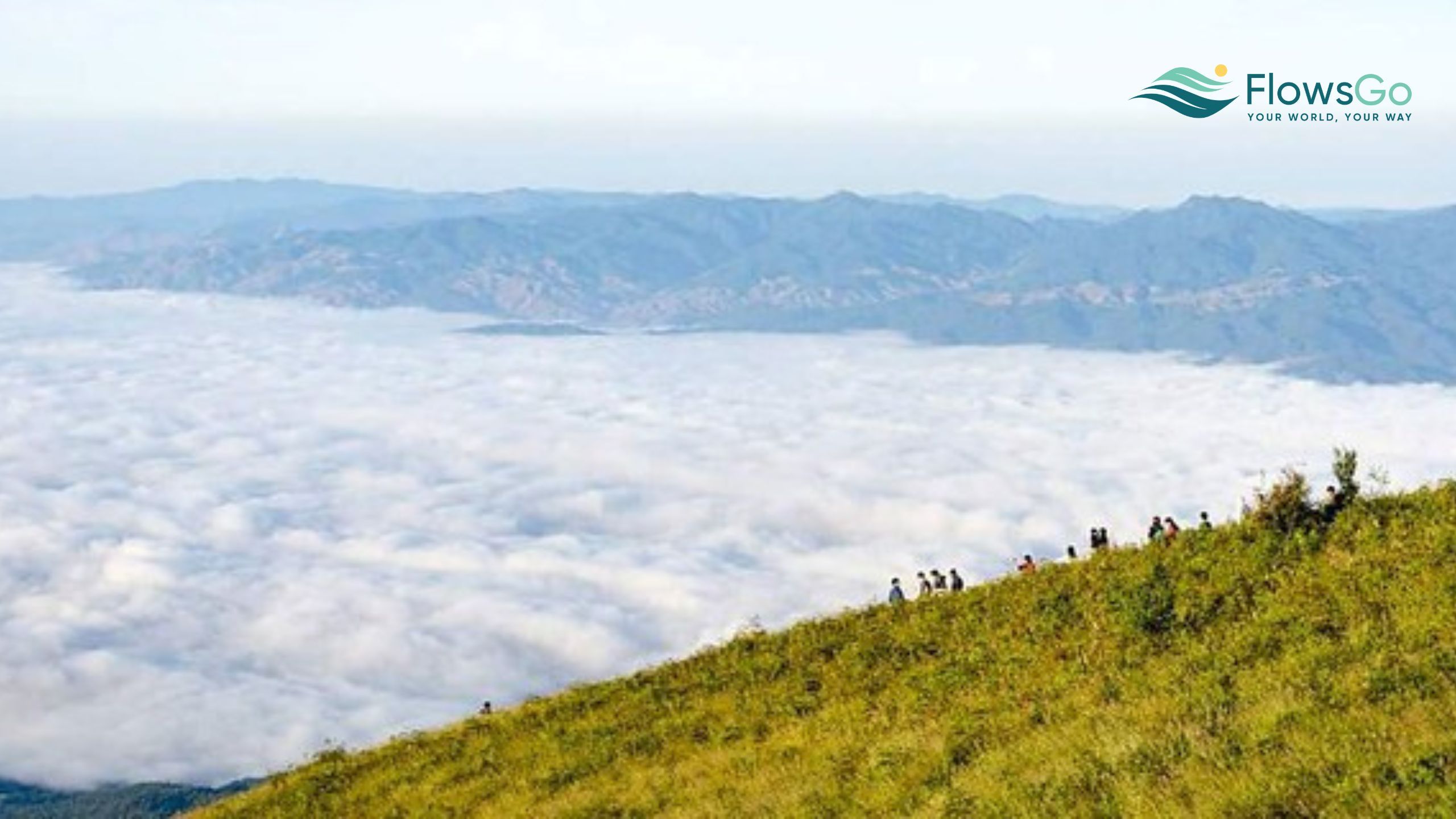 Doi Inthanon.jpg