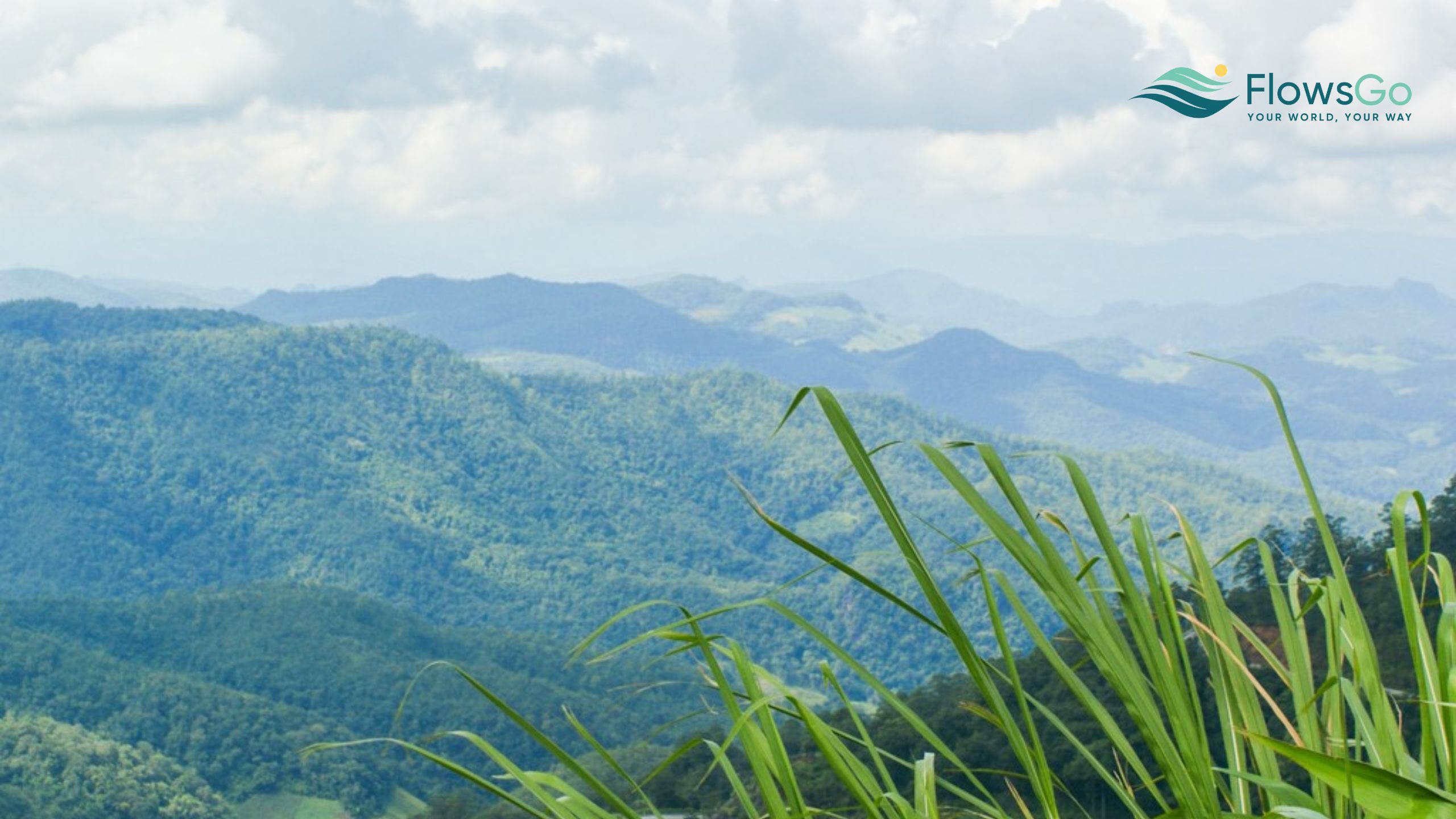 Doi Inthanon - Doi Kew Lom.jpg