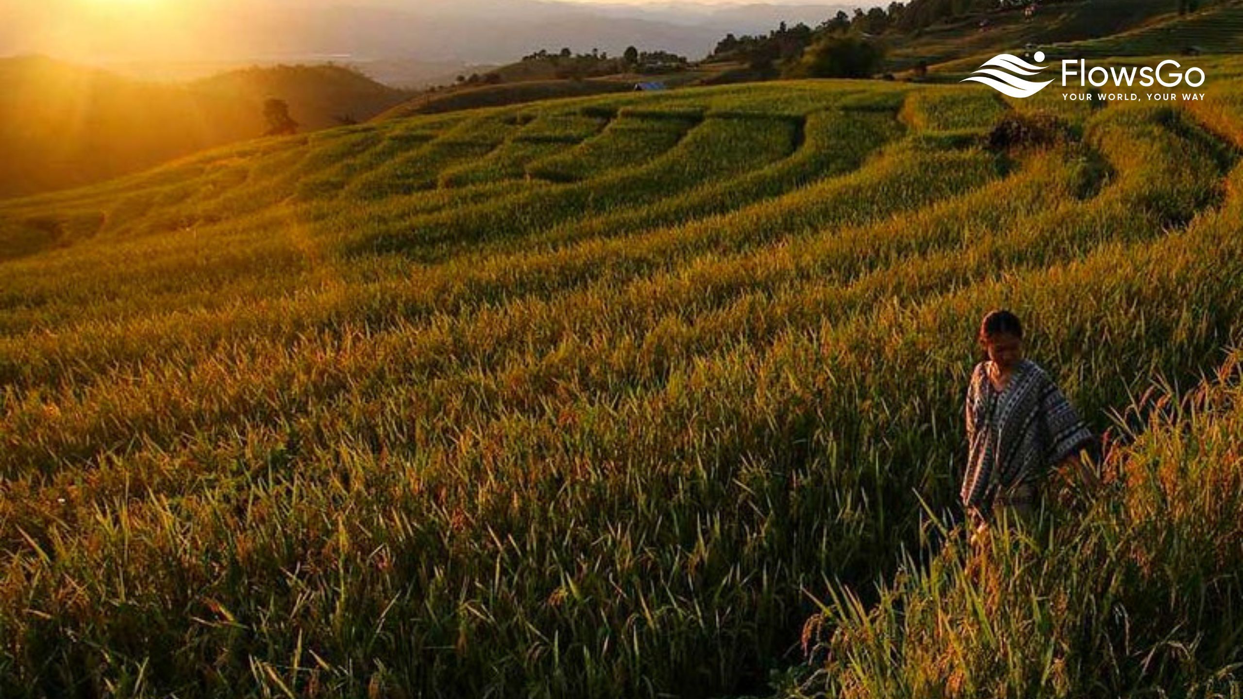 Doi Inthanon - Làng Mae Klang Luang.jpg