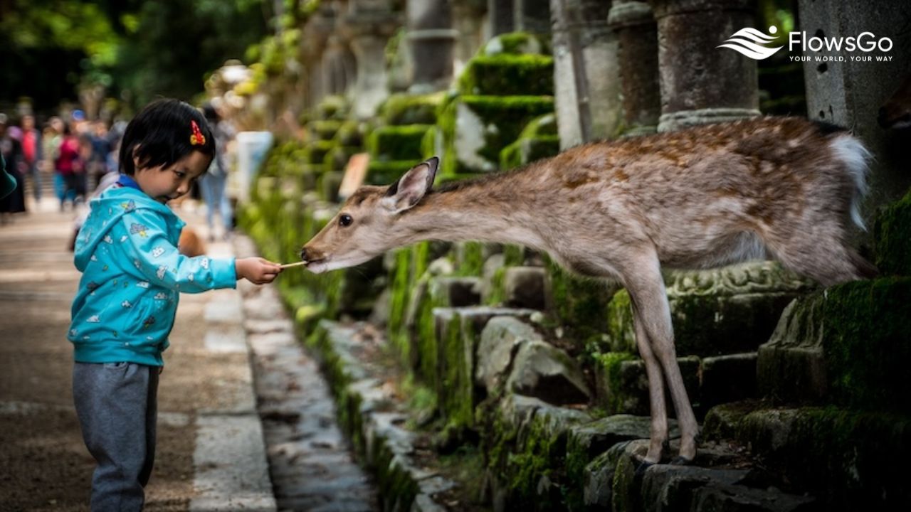 Gặp gỡ và vui chơi cùng động vật.jpg