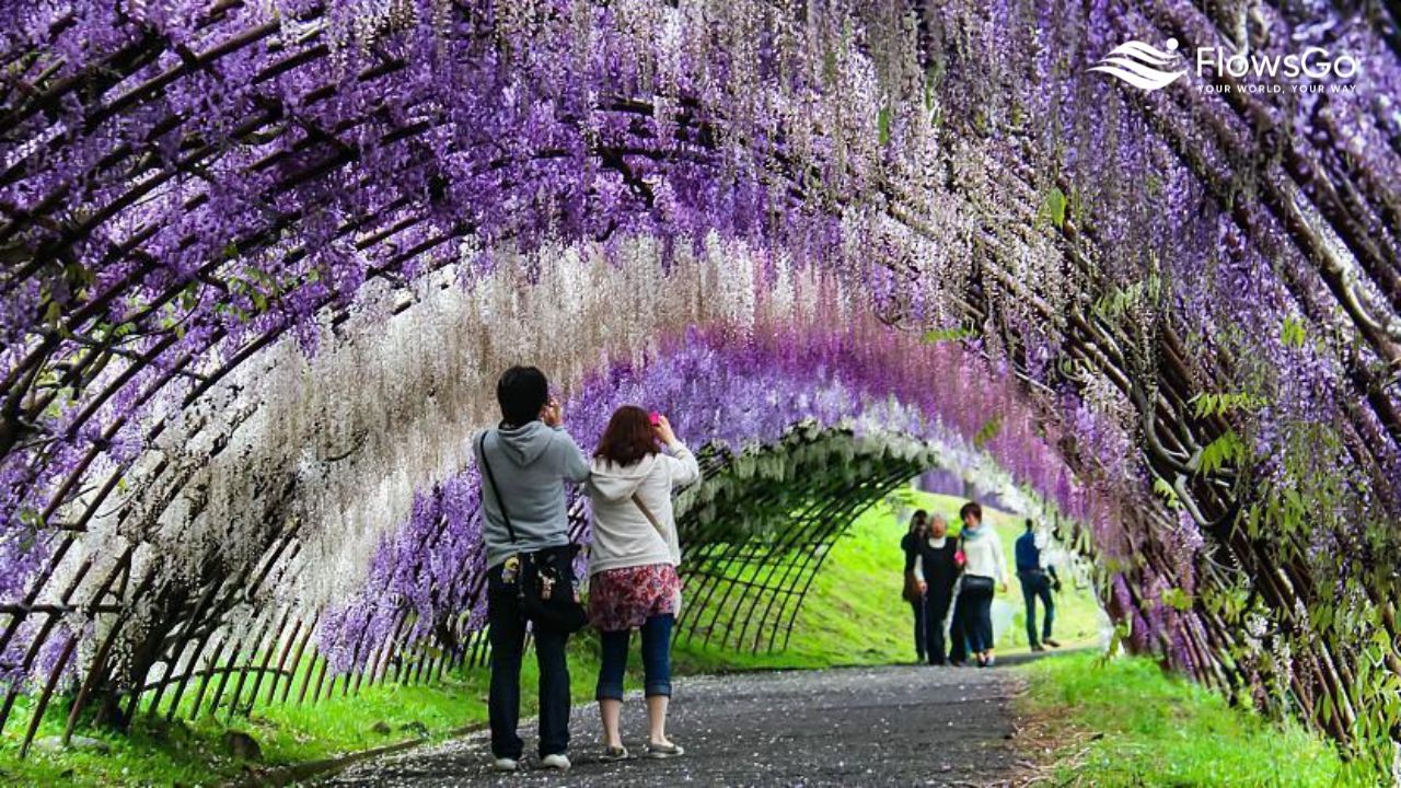 Kawachi Fujien Wisteria Garden.jpg