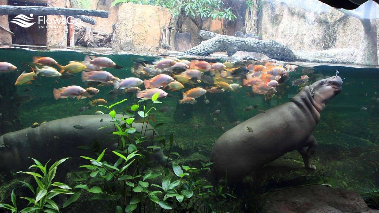 Khao Kheow Open Zoo Pattaya (2).jpg