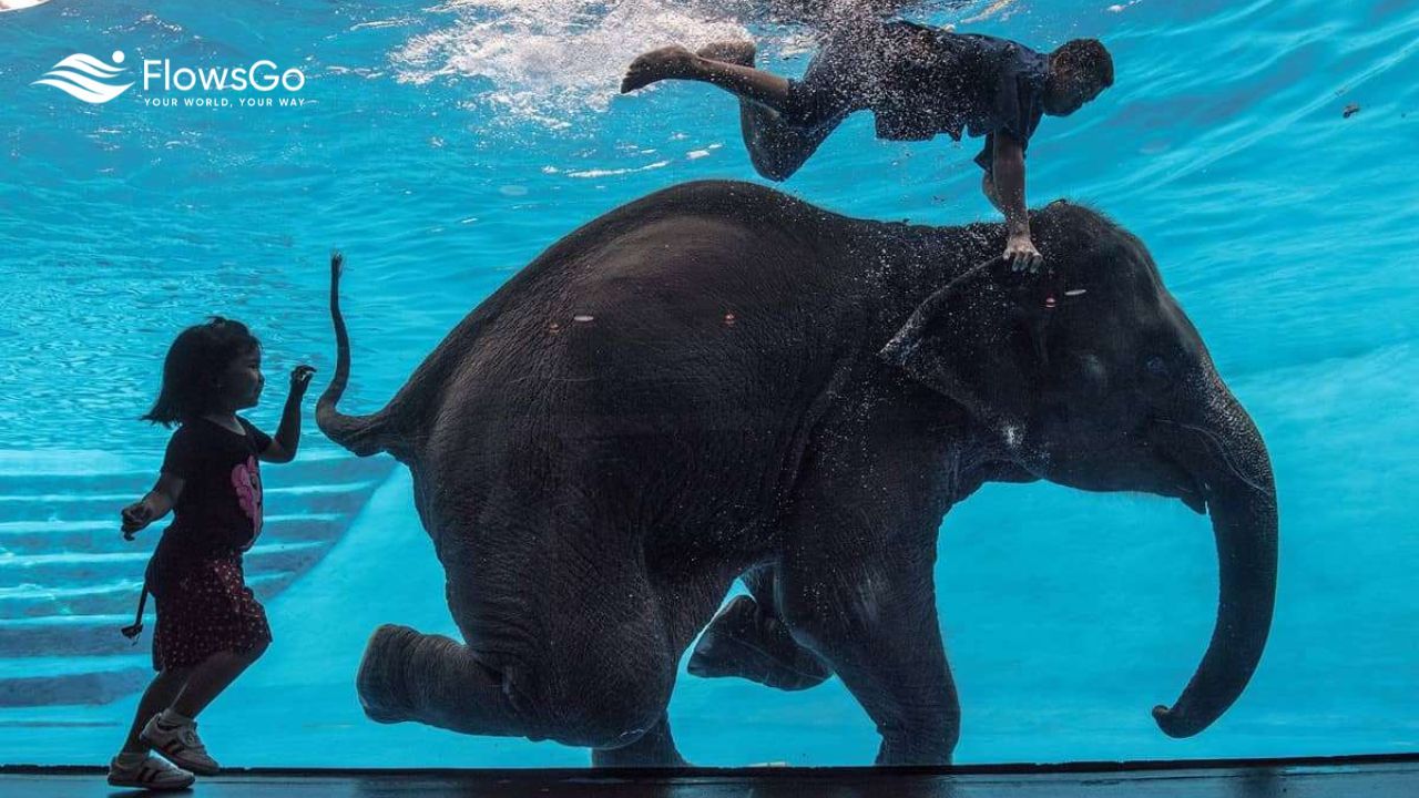 Khao Kheow Open Zoo Pattaya (3).jpg