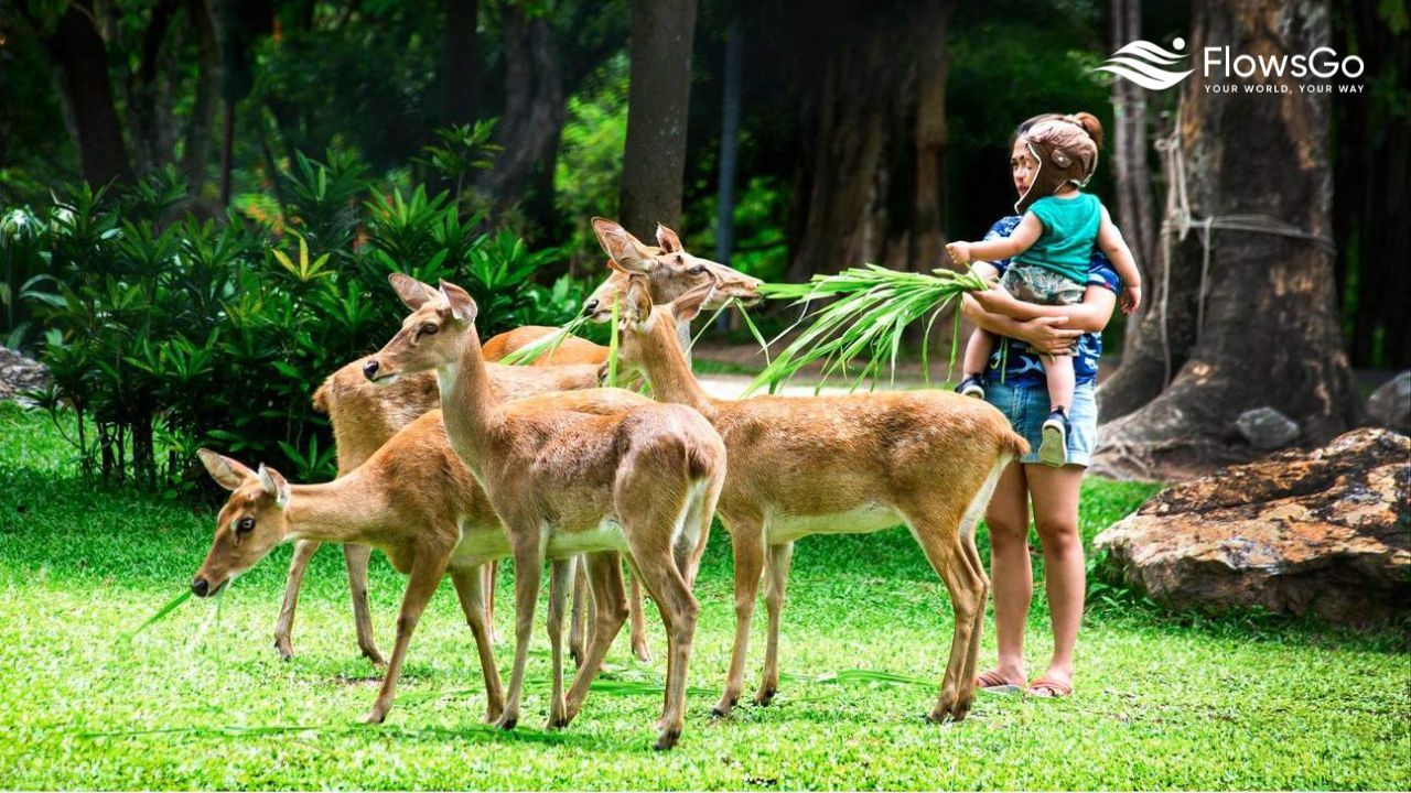 Khao Kheow Open Zoo Pattaya (5).jpg