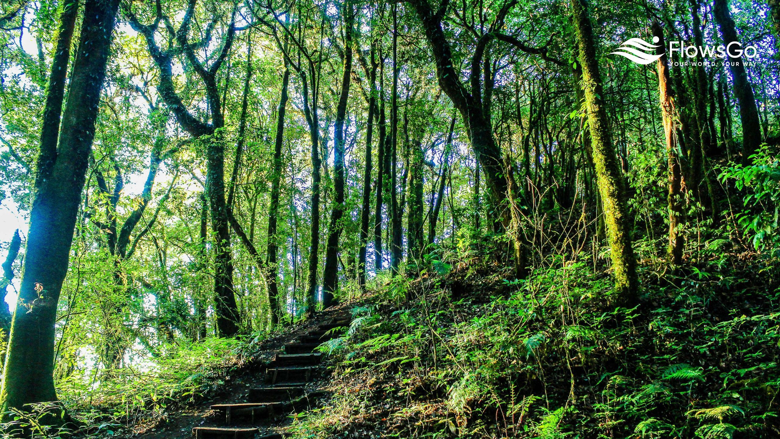 Mae Hong Son-Doi Inthanon.jpg