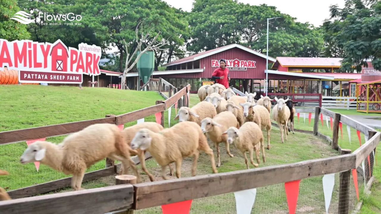 Nông Trại Cừu Pattaya & Xứ Sở Bánh Kẹo Ngọt Ngào.jpg