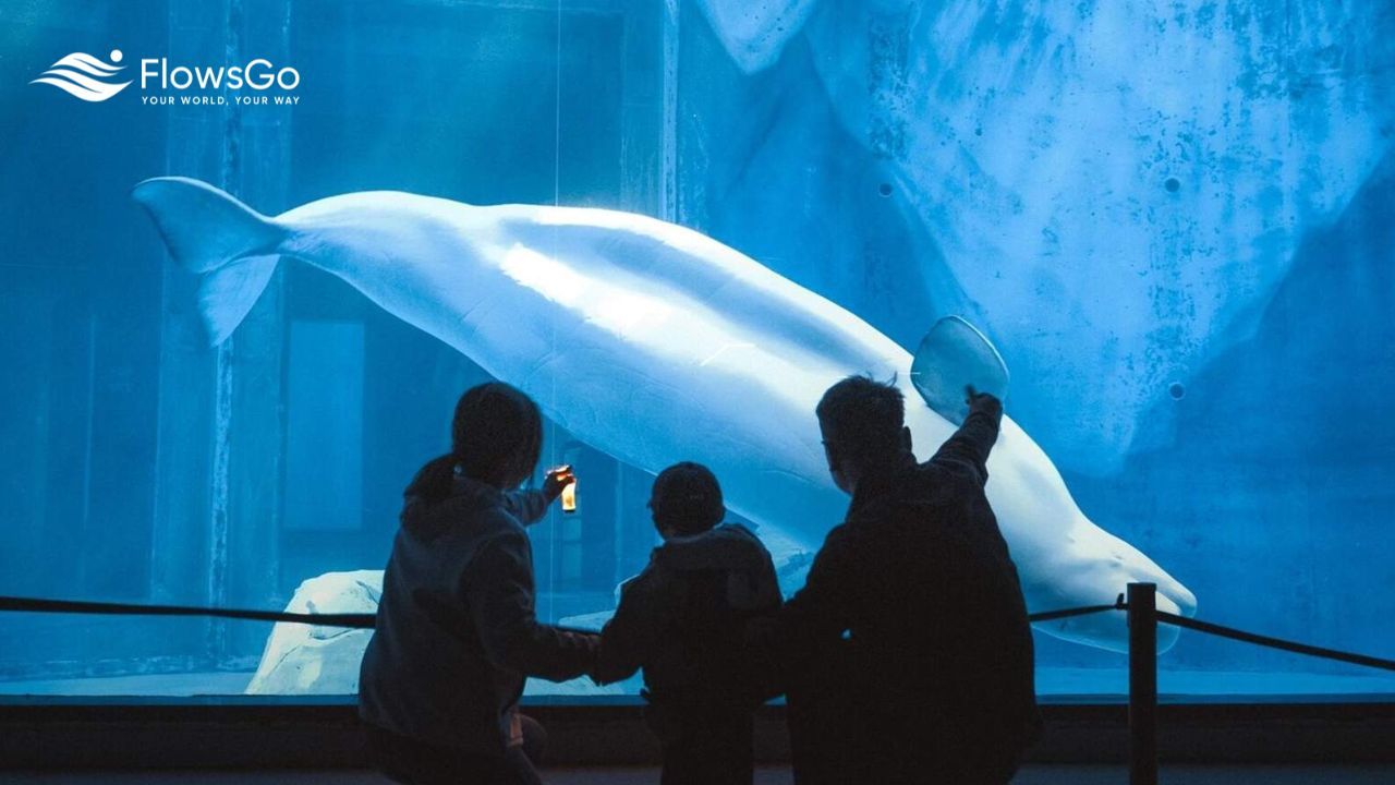 Shanghai Ocean Aquarium.jpg