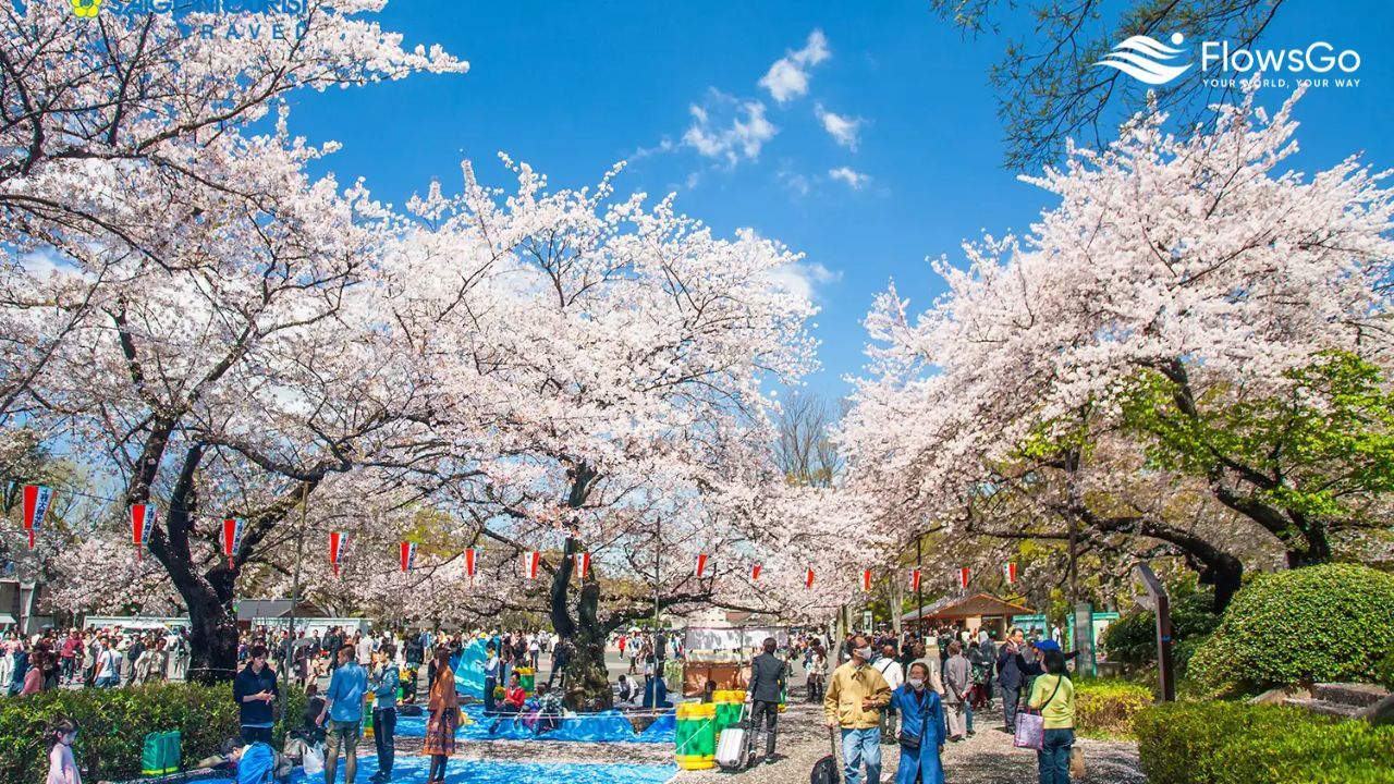 Ueno Park.jpg